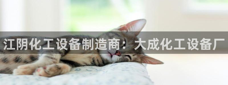 新城平台在线登陆