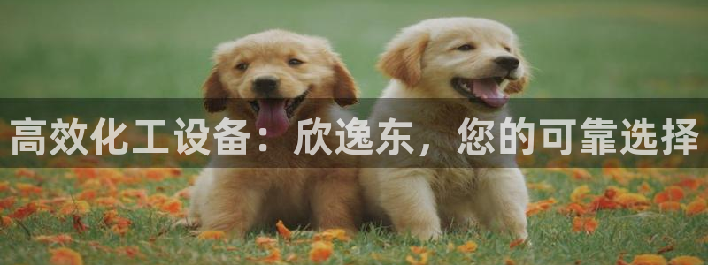 新城平台登录入口官网网址