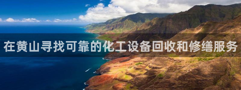 新城平台登录入口官网查询系统