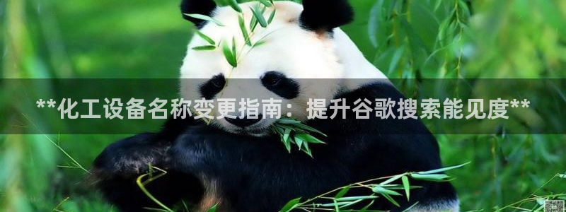 新城平台登录密码忘了