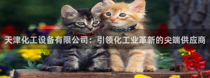 新城平台官网注册账号