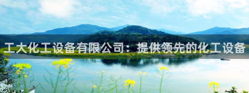 新城平台注册公司流程