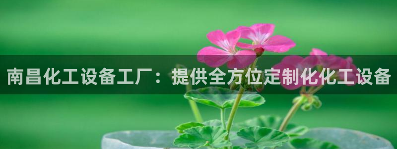 新城平台注册