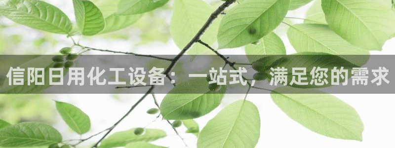 新城平台登录入口官网首页查询