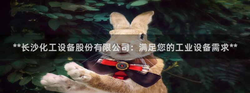 新城平台网址