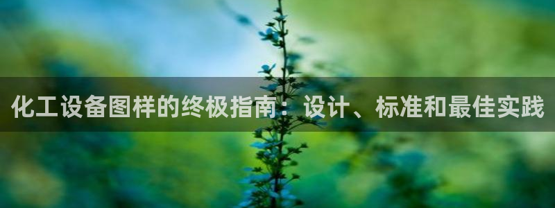 新城平台负责人名单