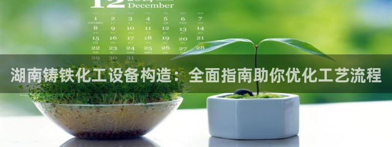 新城平台登录入口官网下载手机版：湖南铸铁化工设备构
