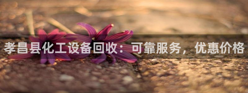 新城平台官网注册流程