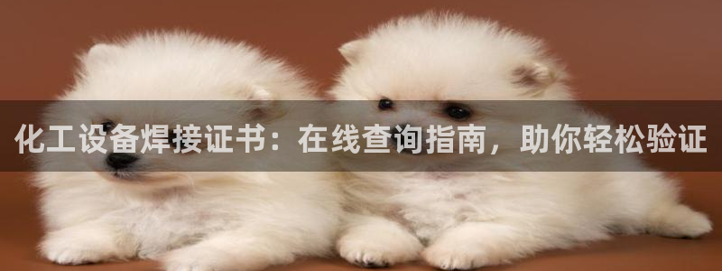 新城平台登录入口网址：化工设备焊接证书：在线查询指