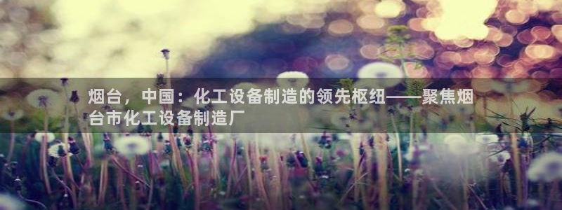 新城平台注册资金多少