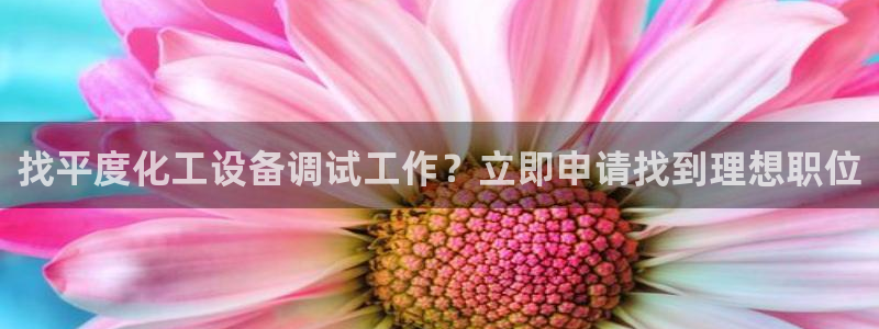 新城平台官网注册账号