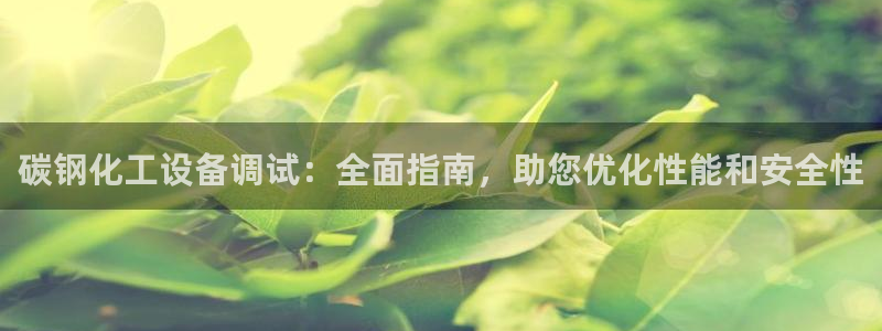 新城平台注册登录地址在哪：碳钢化工设备调试：全面指