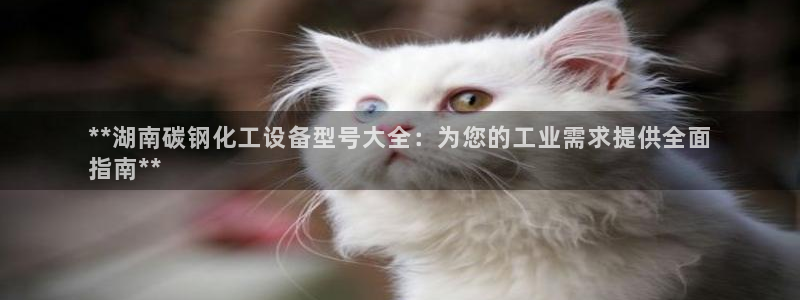 新城平台官网首页：**湖南碳钢化工设备型号大全：为
