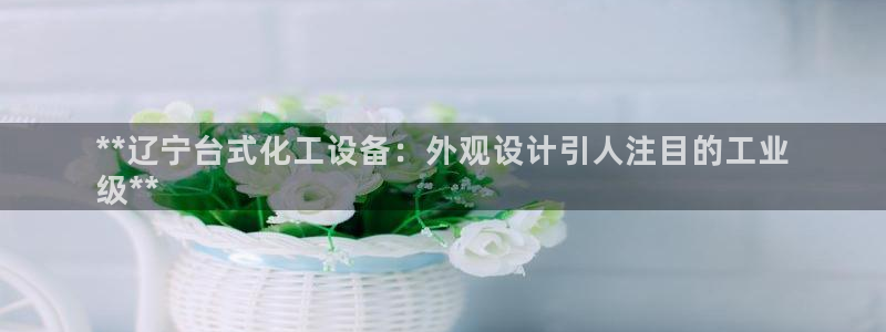 新城平台代理：**辽宁台式化工设备：外观设计引人注目的工业
