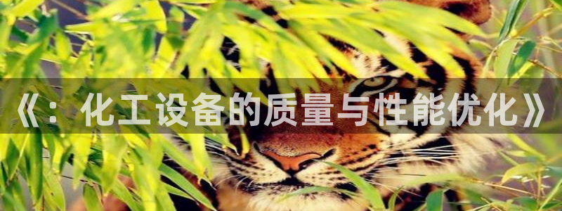 新城平台招商