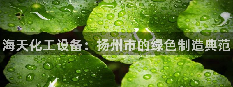新城平台登录密码忘了：海天化工设备：扬州市的绿色制
