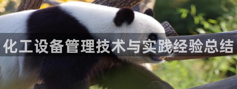 新城平台登录密码忘了怎么找回