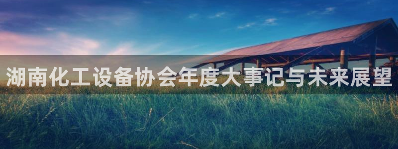 新城平台总代理是谁