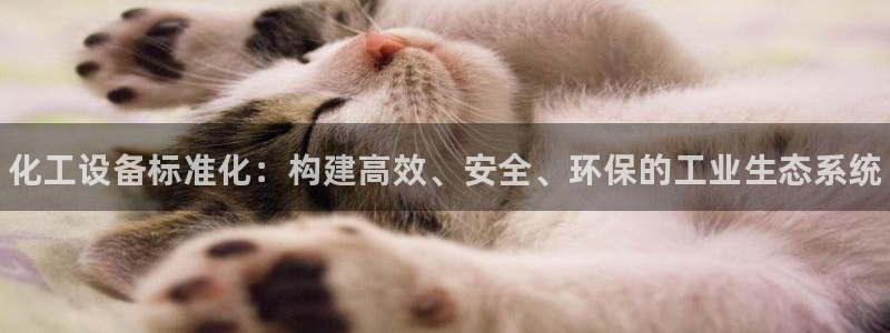 新城平台负责人