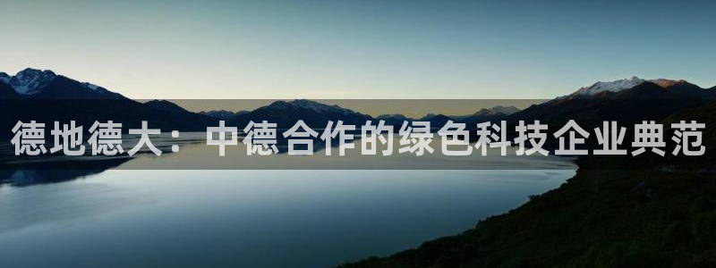 新城平台登录入口官网首页查询