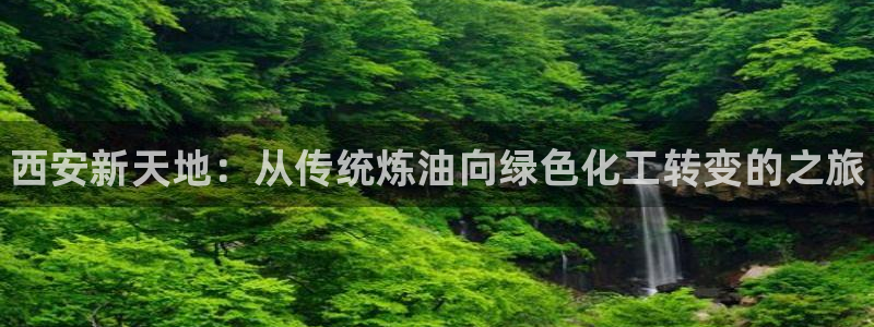 新城平台登录密码忘了怎么改