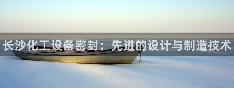 新城平台登录入口官网网址查询：长沙化工设备密封：先