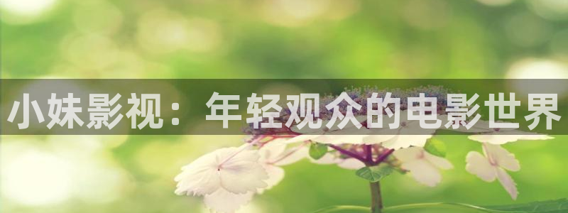 五五电影院：小妹影视：年轻观众的电影世界