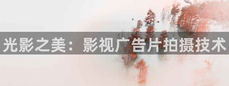 五五影院：光影之美：影视广告片拍摄技术