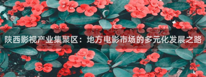 五五五影院：陕西影视产业集聚区：地方电影市场的多元化发展之路