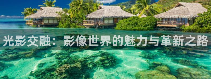 五五五欧美影院：光影交融：影像世界的魅力与革新之路