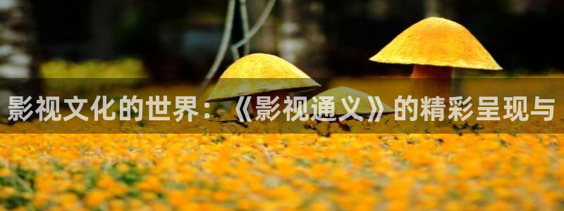 五五影院官网：影视文化的世界：《影视通义》的精彩呈现与