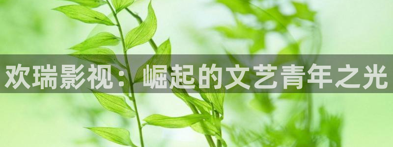 五五五电影网：欢瑞影视：崛起的文艺青年之光