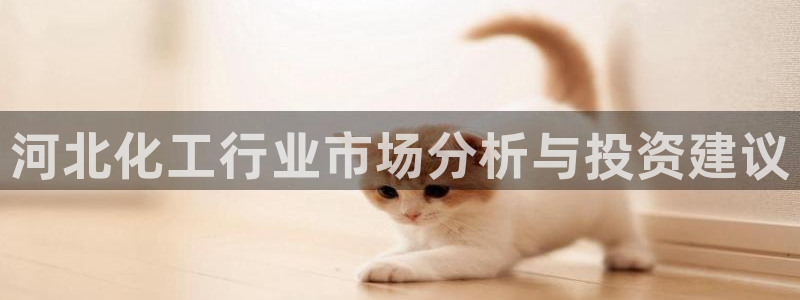 新城平台代理注册流程