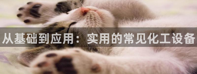 新城平台使7O777：从基础到应用：实用的常见化工