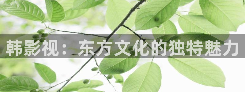 五五影院在线：韩影视：东方文化的独特魅力