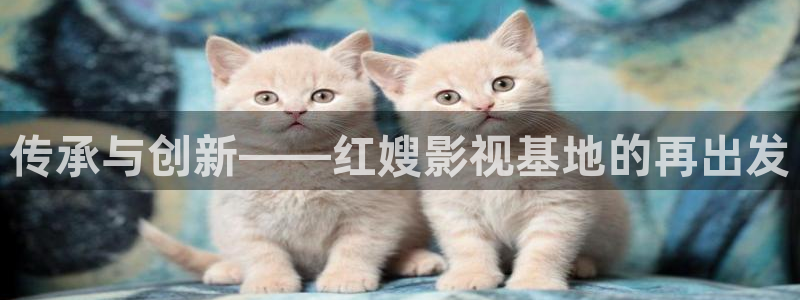 五五电影在线观看：传承与创新——红嫂影视基地的再出发