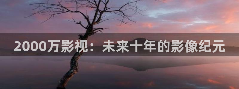 五五影院官网：2000万影视：未来十年的影像纪元