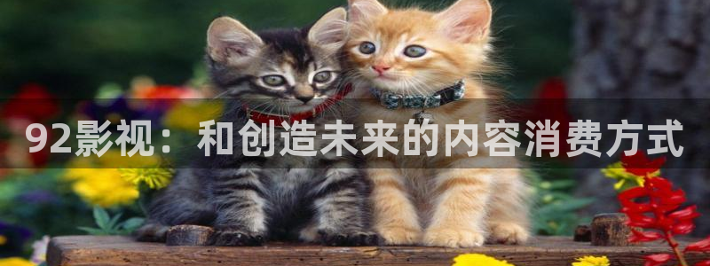五五电影视：92影视：和创造未来的内容消费方式